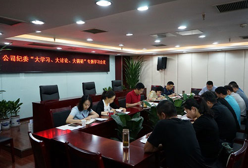 以“大學(xué)習、大討論、大調研”為動(dòng)力推動(dòng)公司紀檢監察工作扎實(shí)開(kāi)展