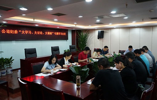 以“大學(xué)習、大討論、大調研”為動(dòng)力推動(dòng)公司紀檢監察工作扎實(shí)開(kāi)展