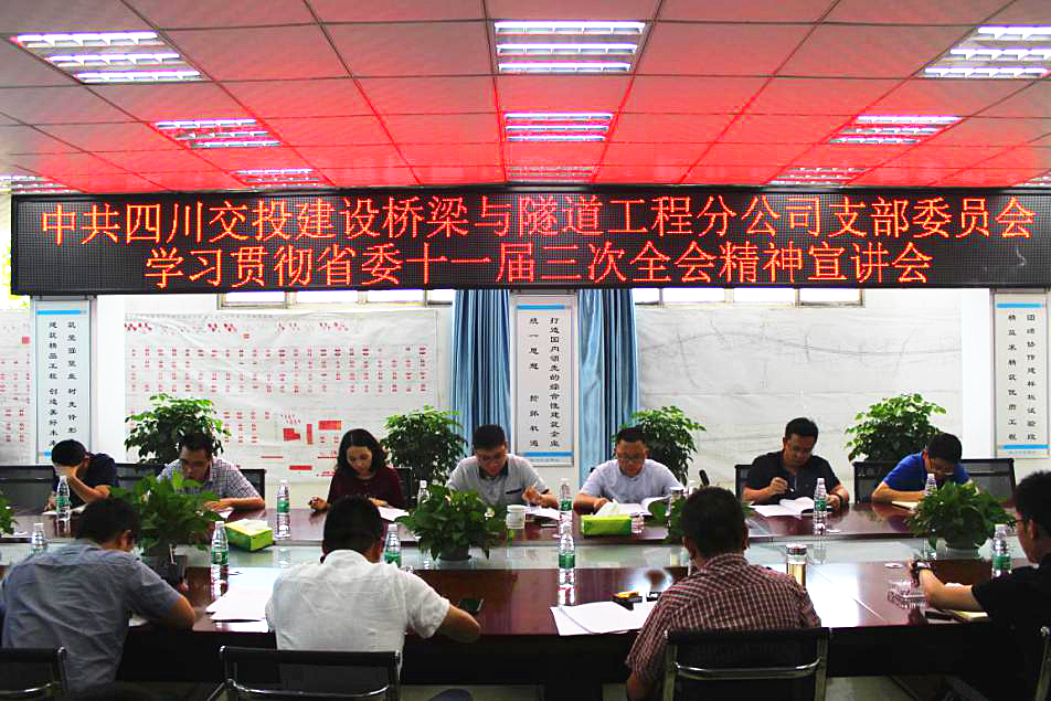 公司橋隧分公司黨支部開(kāi)展學(xué)習貫徹省委十一屆 三次全會(huì )精神宣講活動(dòng)