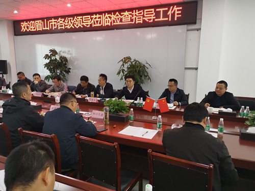 眉山市政府組織召開(kāi)成樂(lè )擴容建設項目工作推進(jìn)會(huì )