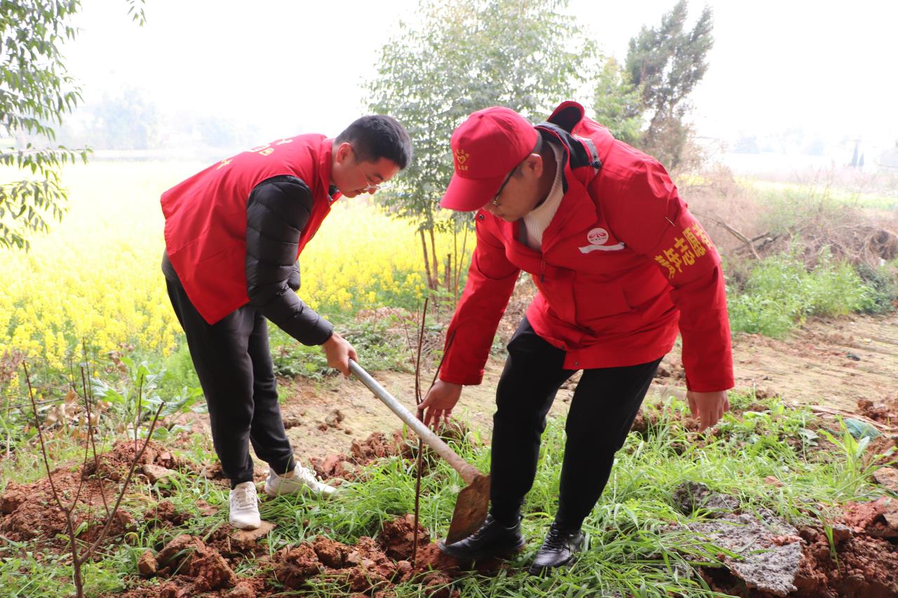 植樹(shù)進(jìn)行中3.jpg