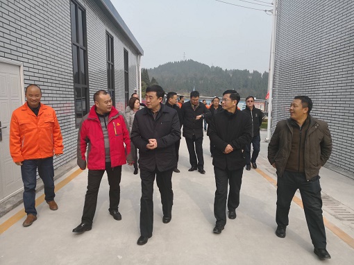 集團公司黨委副書(shū)記鄒蔚赴公司路面分公司承建成資渝高速TJ6項目調研指導工作